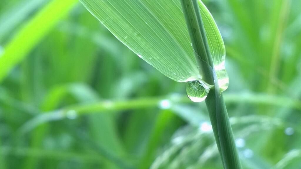 Tak fotografuje się Lumiami! 16