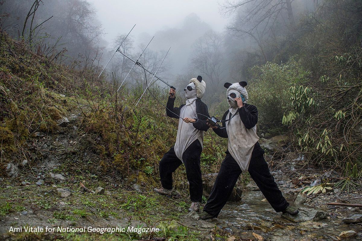 Z konkursu World Press Photo usunięto kategorię "Życie codzienne". W jakim kierunku zmierza konkurs? 6