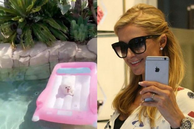 Paris Hilton została VLOGERKĄ! Fani sceptyczni: "Chyba potrzebujesz edytora..." (WIDEO)