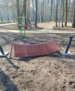 Dąbrowa Górnicza. Zniszczone hamaki w Parku Podlesie. Nie wytrzymały nawet doby
