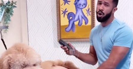 Znany groomer zadziwił internautów. Nie uwierzysz, jak pies wyglądał po pielęgnacji