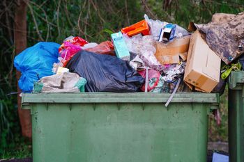 Znalazła to na śmietniku. Nie uwierzycie, co udało jej się zdobyć