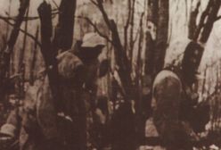 Bałkany - terror kultury