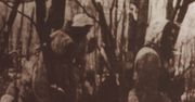 Bałkany - terror kultury