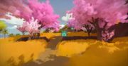 Jonathan Blow tłumaczy, na czym polega The Witness, jego nowa gra