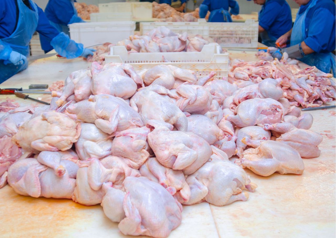 Watch out for these parts of the chicken. They may contain parasites.