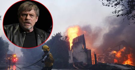 Koszmar. Mark Hamill z rodziną i psem ewakuowali się z domu