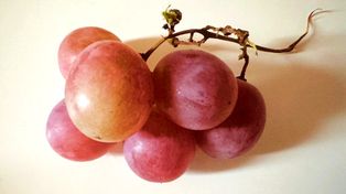 Większość osób robi to z winogronami. Niewielu wie, jaki to ma sens