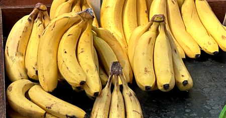 Kiedy zjeść banana? To ma spore znaczenie