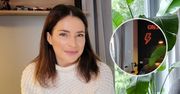 Anna Dereszowska wyremontowała pokój syna. Nowoczesny design z czarną ścianą w roli głównej. Fani zachwyceni