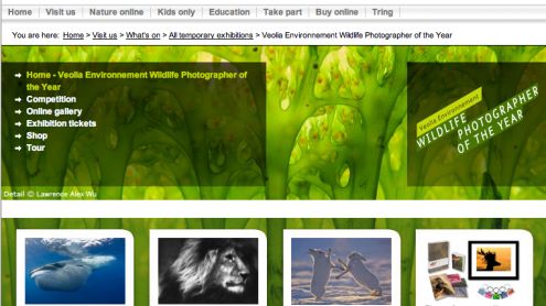 Konkurs Wildlife Photographer of the Year dyskryminuje fotografów ze starszymi aparatami 1