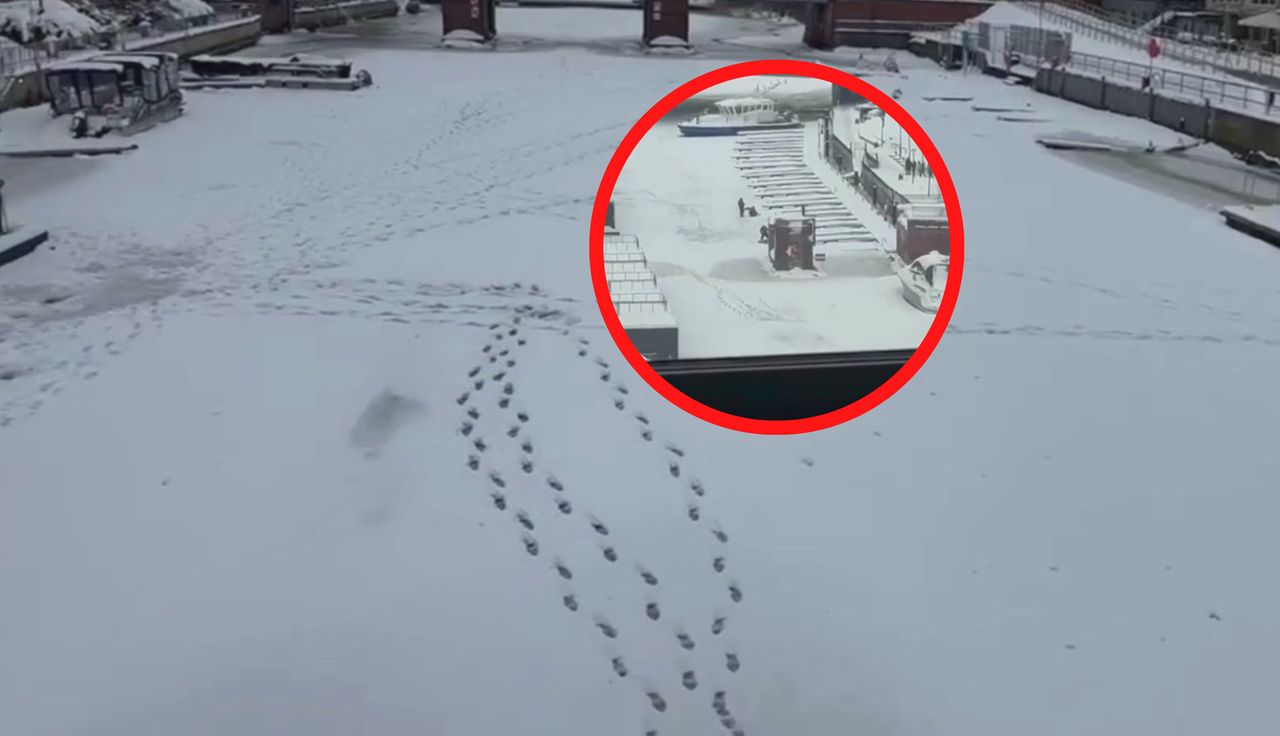 Motława się topi. A ludzie? Aż chwyciła za telefon, gdy to zobaczyła