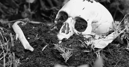 Odkrycie szkieletów w gminie Dębowa Kłoda. Możliwe ślady żołnierzy KOP