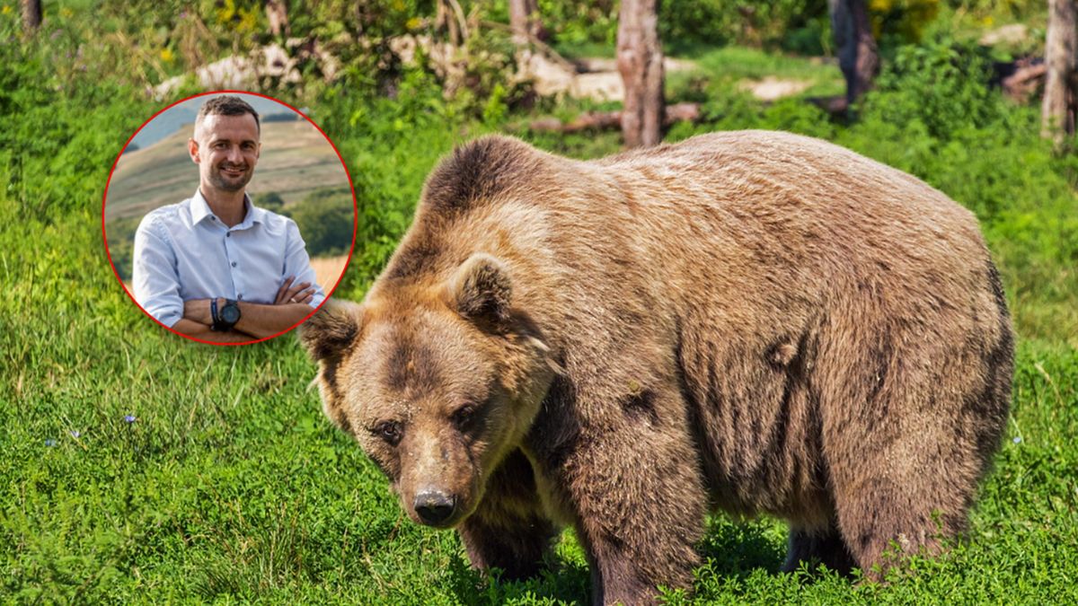 Wójt gminy Cisna komentuje decyzję ministerstwa.