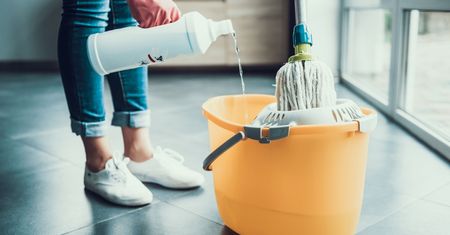 Jak się pozbyć rybików z domu? Poznaj sprawdzone sposoby na walkę z owadami