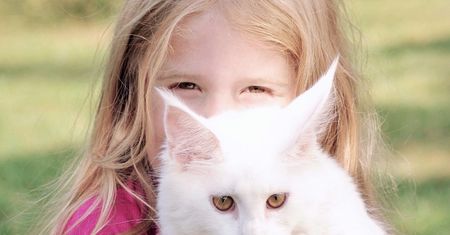 Felinoterapia - na czym polega? Jakie są korzyści tej terapii?
