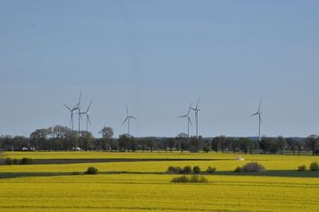 Ciąg dalszy sprawy wiatraków w gminie Miłoradz. Mieszkańcy złożyli prawie 50 wniosków