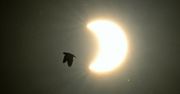 Dwa zaćmienia Słońca w 2025 roku. Jedno będzie widoczne w Polsce