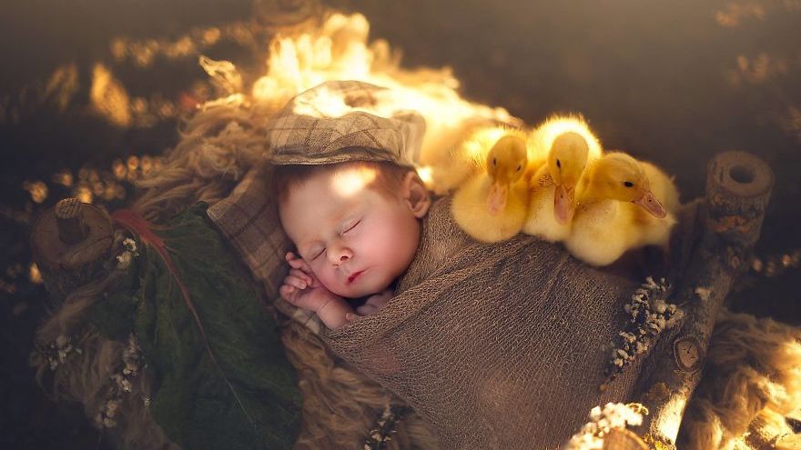 Fotografia pomogła jej podnieść się po utracie ukochanego psa 1