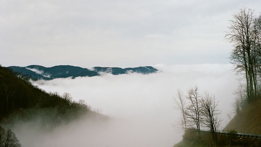 Brian Ferry pokazał, jak wygląda strzyżenie owiec w Appalachach 1