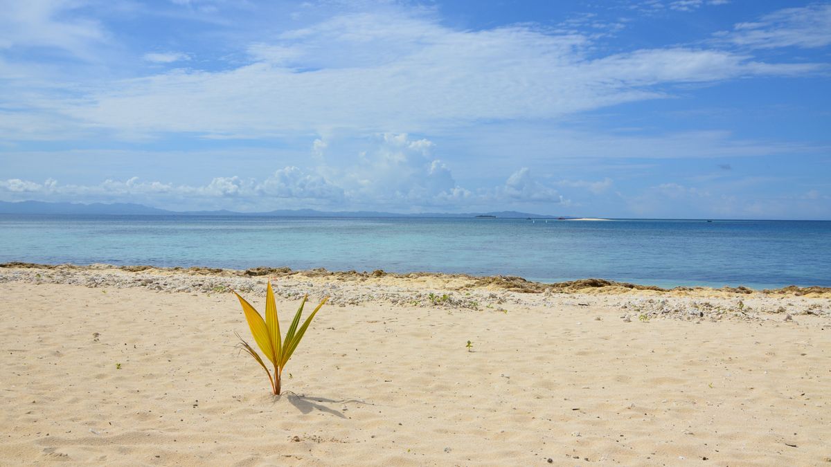 Zdjęcie ilustracyjne 