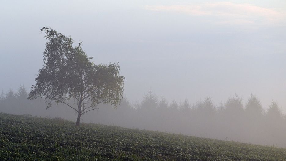 Pogoda w weekend. Chłodno, mgliście i wilgotno