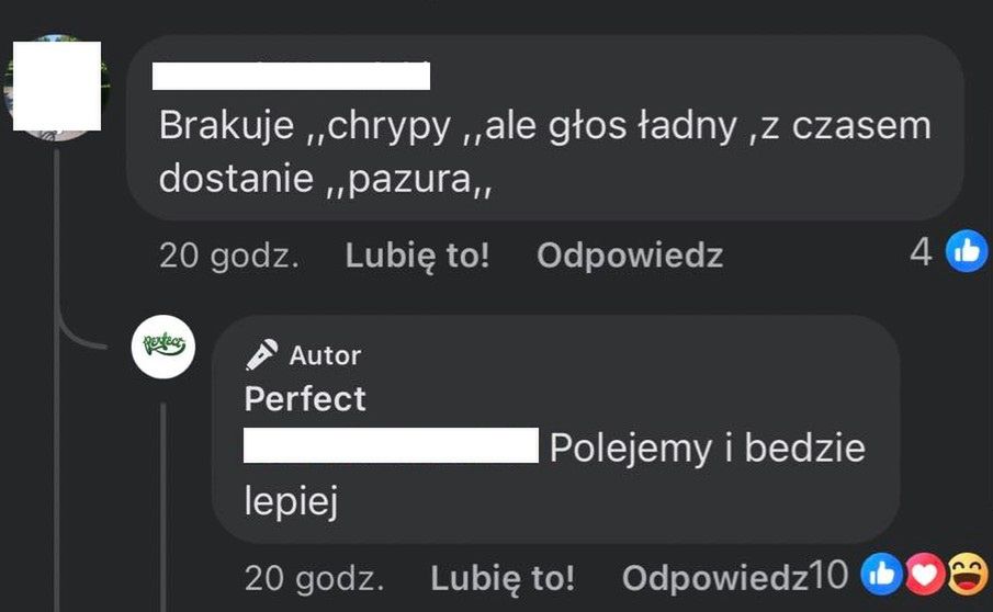 Niepokojące wpisy na facebookowym profilu zespołu Perfect