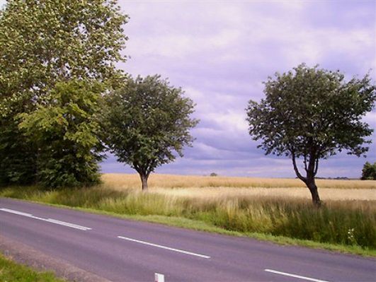 Obraz