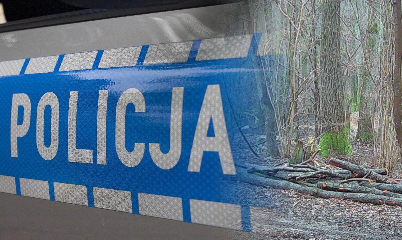 Leśniczy zauważył ślady. Na miejsce wezwał służby