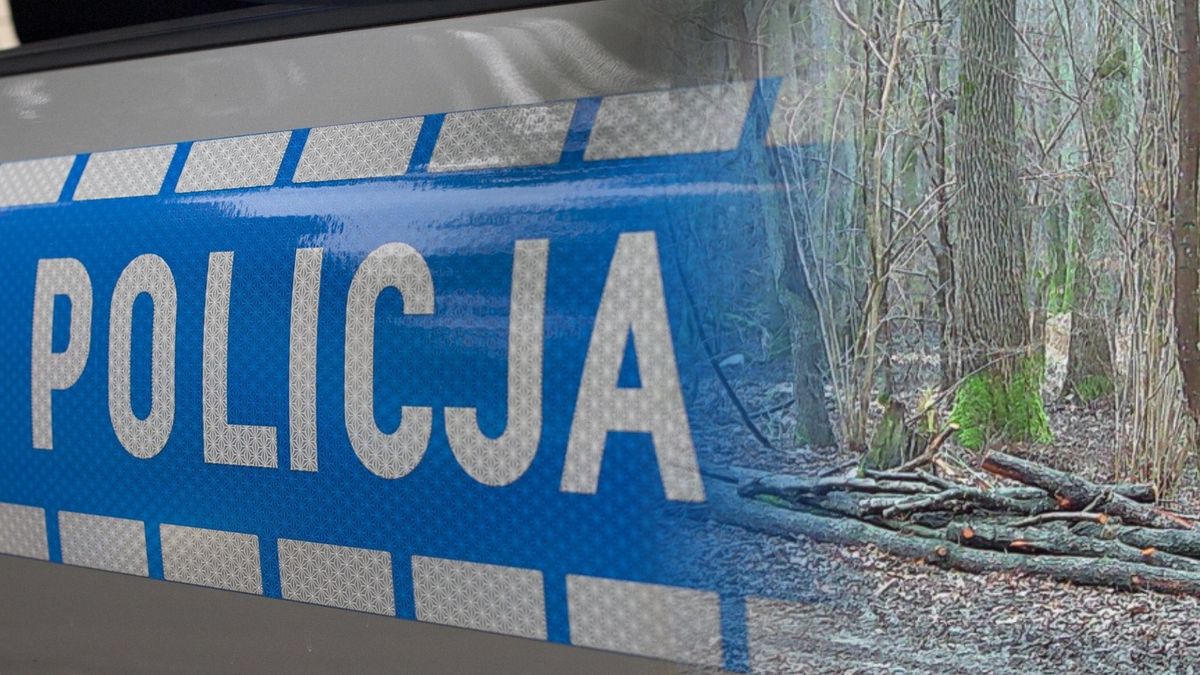 Leśniczy zauważył ślady. Wezwał policję