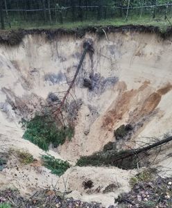 Kolejne zapadlisko w pobliżu Olkusza. Nadleśnictwo zamyka następny fragment lasu