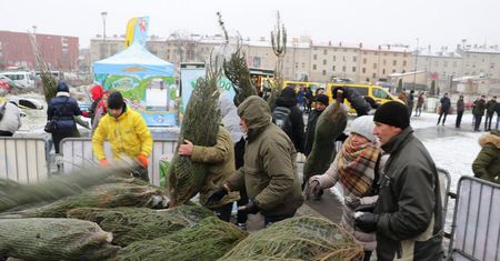Lublin: Choinki pod choinkę od RMF FM. Sprawdź, kiedy możesz dostać choinkę za darmo