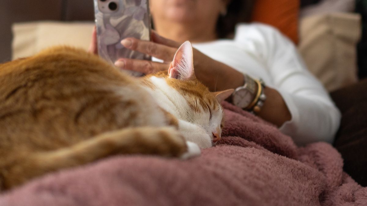 Coraz więcej osób uzależnionych od filmów dla dorosłych