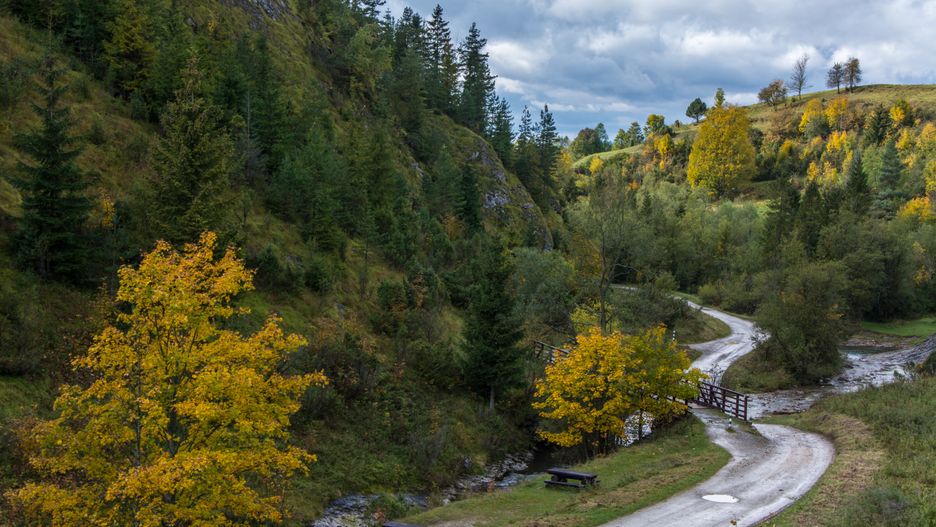 Rezerwat Biała Woda leży na terenie gminy Szczawnica