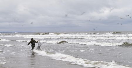 Makabryczne odkrycie. Na brzegu znaleźli ludzkie przedramię