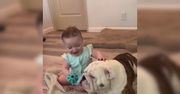 Niezwykła przyjaźń dzieci z psami. "Mogłabym to oglądać cały dzień"
