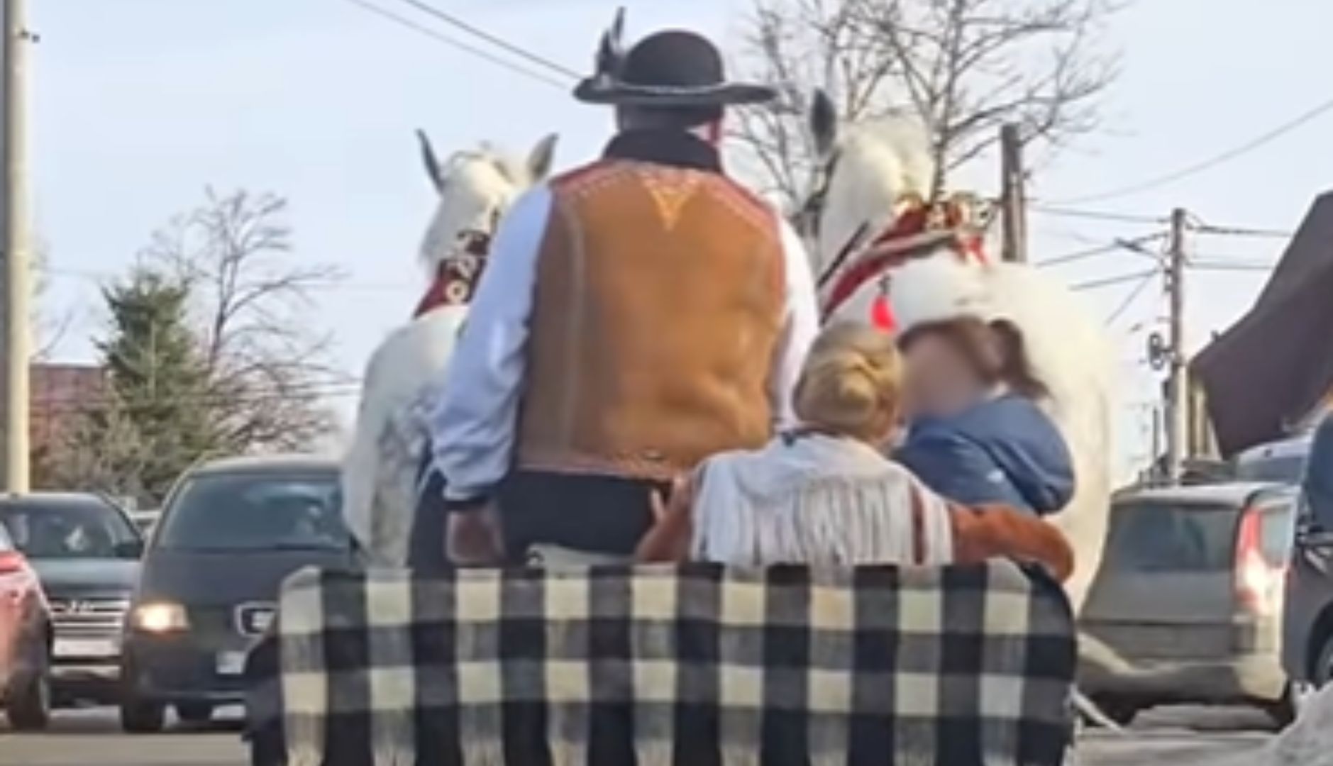 Skandal na Podhalu. Urządzili kulig bez śniegu