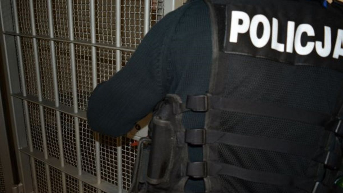 Zdjęcie podglądowe.