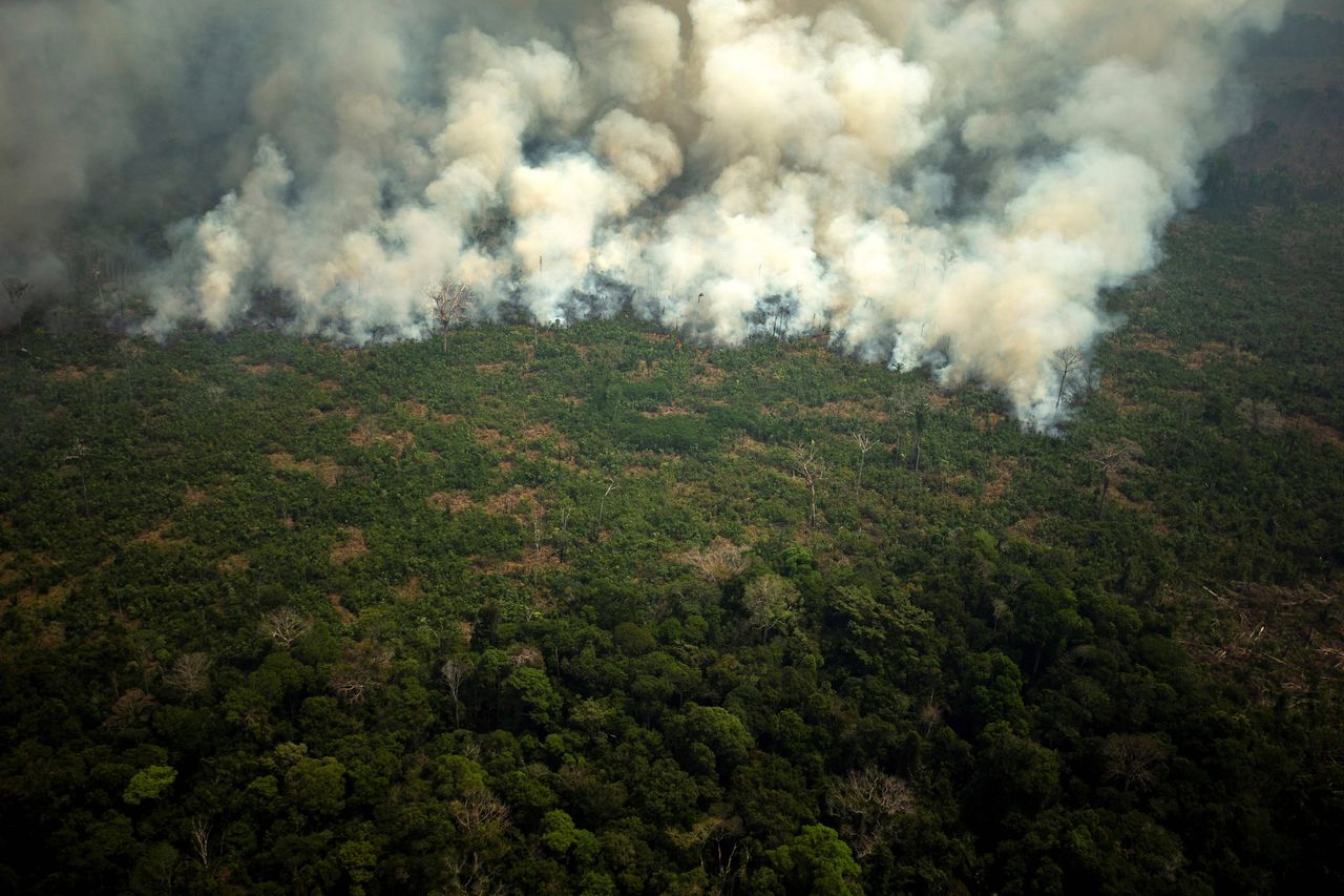 #UgaśmyPłucaŚwiata: Pożar Amazonii: ekologiczna katastrofa na zdjęciach. Do akcji wkroczył największy przeciwpożarowy samolot świata