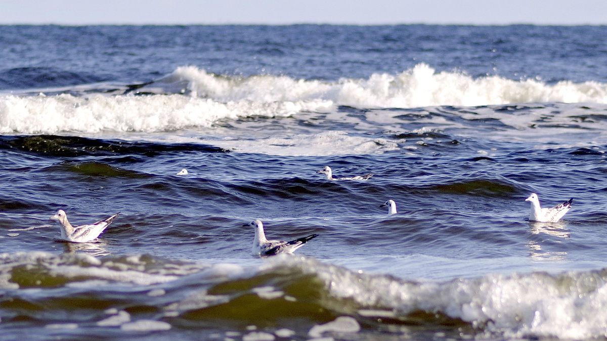 Pogoda nad Bałtykiem będzie w najbliższym czasie niezbyt korzystna