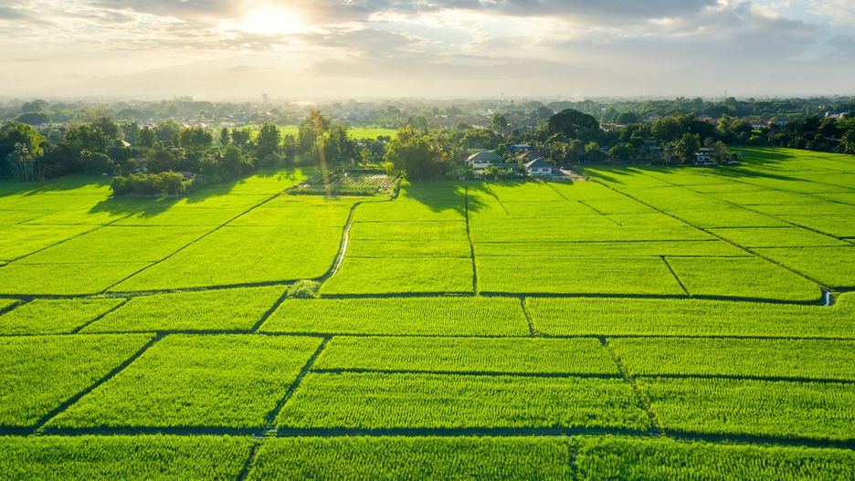 Trwa protest rolników
