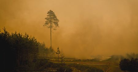 Strażacy z Płocka ruszają na pomoc. Dramatyczny pożar w Puszczy Solskiej!