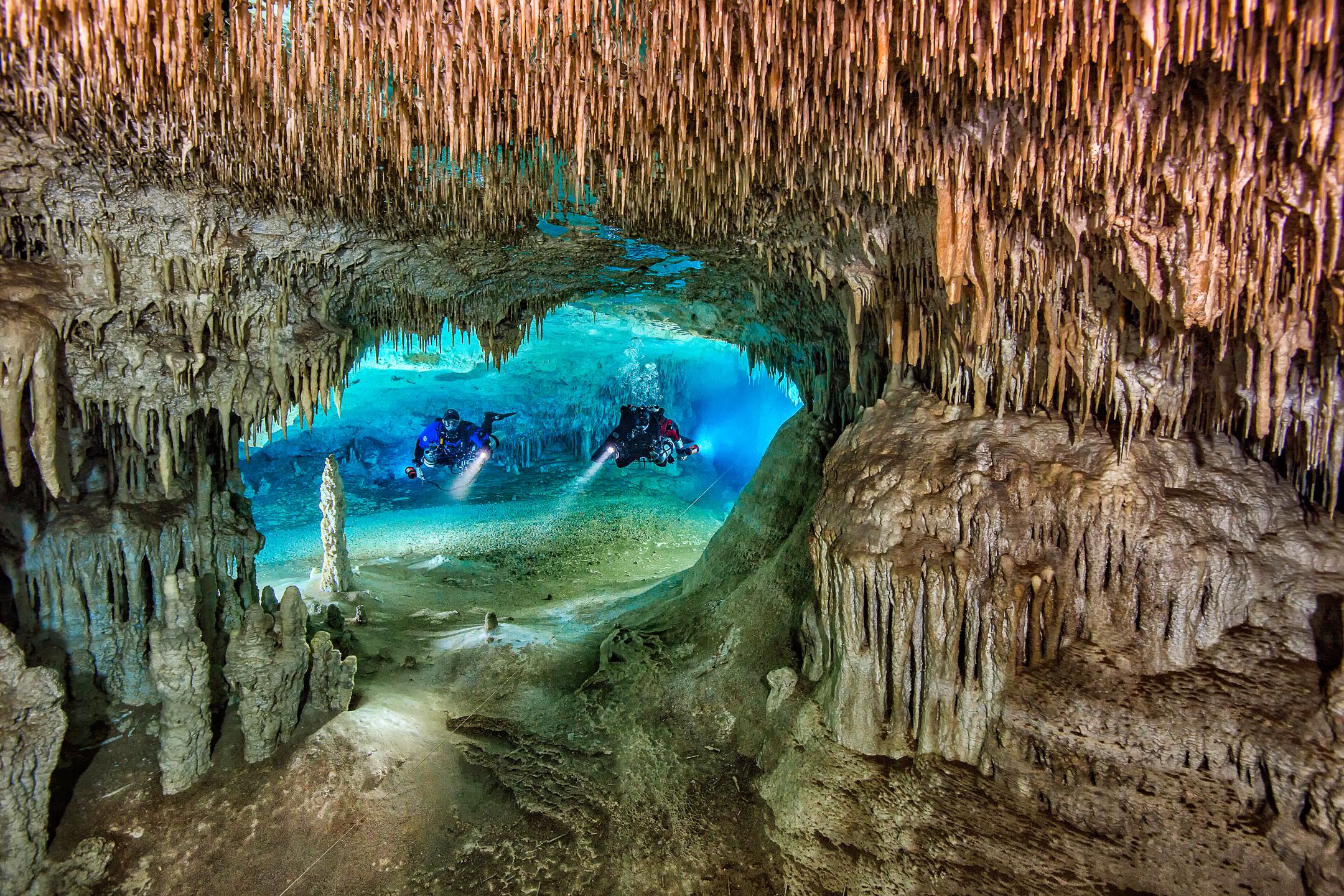 Underwater Photographer of the Year 2018 - niesamowity podwodny świat na wyciągnięcie ręki 9