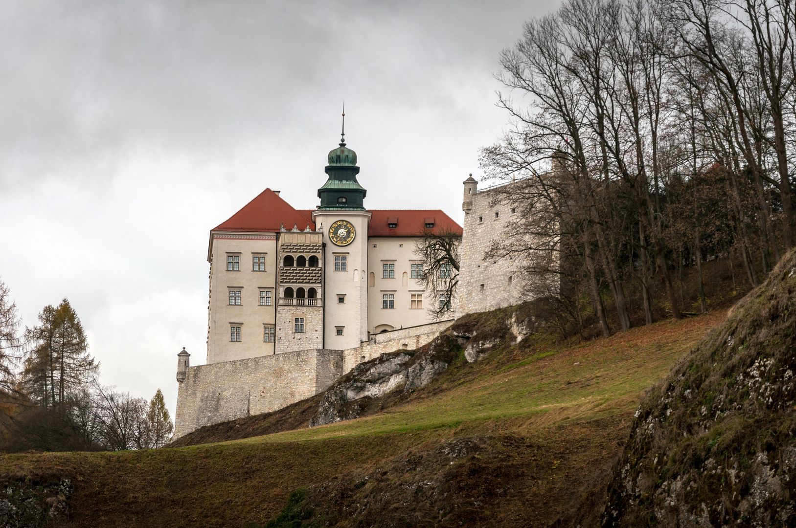 Porównanie aut rodzinnych w Ojcowie