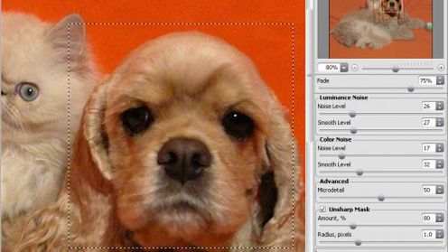 Noise Buster 7 powalczy z szumem 1