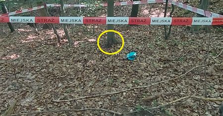 Był oparty o drzewo. Kobiety w Wejherowie zmroziło. Wezwały służby