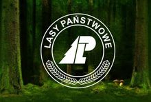 Lasy Państwowe stawiają na otwarty dialog. 