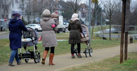 Wniosek o 500+. ZUS radzi: złóż do końca czerwca