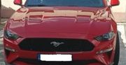Ciechanów: Konfiskata mustanga. Teraz ma trafić do policji