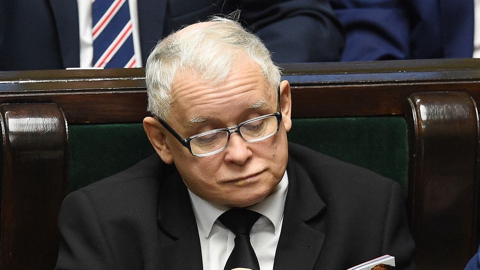 Światowy dzień kota 2021. Jarosław Kaczyński w politycy ma niewiele słabości, ale w życiu prywatnym jego serce mięknie w obliczu kotów